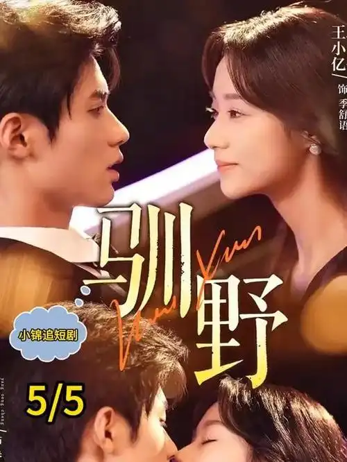 长剧集瘦身趋势 行业观察